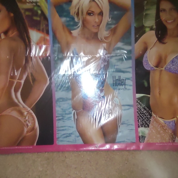 Hooter's Calendar new collectable - Picture 7 of 12